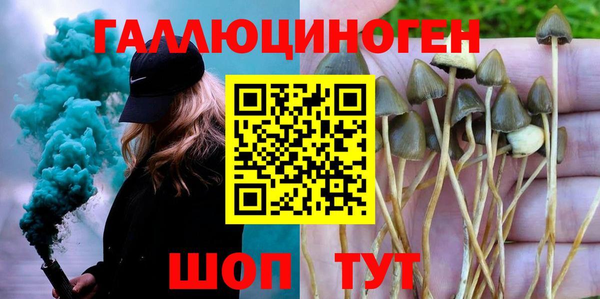 Костомукша  Галлюциногенные грибы Magic Shrooms  Галлюциногенные грибы Magic Shrooms  Вход с VPN 